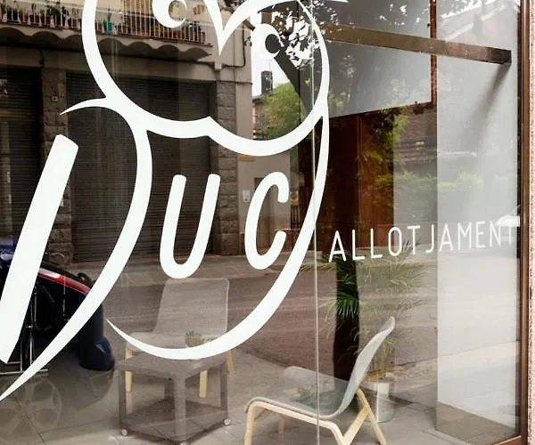 Duc Bed & Breakfast